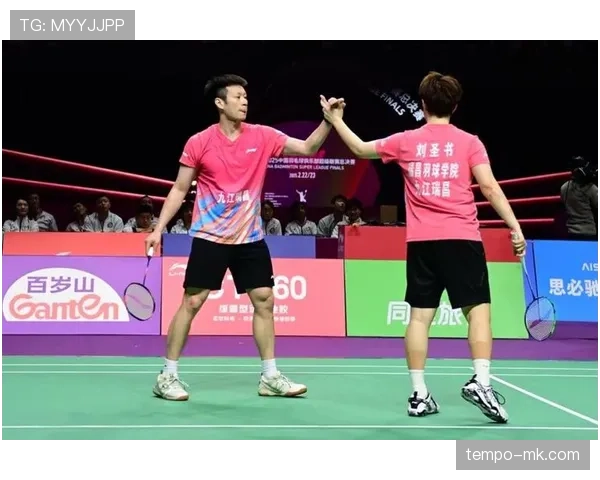 赵芸蕾再创辉煌:世锦赛夺金助力中国羽球新高峰