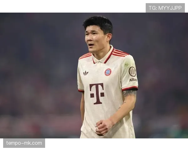 金玟哉联手于帕梅卡诺，共同打造球队全新防线