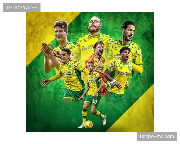 诺维奇新阵容备战新赛季,重返英超希望渐增 诺维奇新阵容备战新赛季,重返英超希望渐增